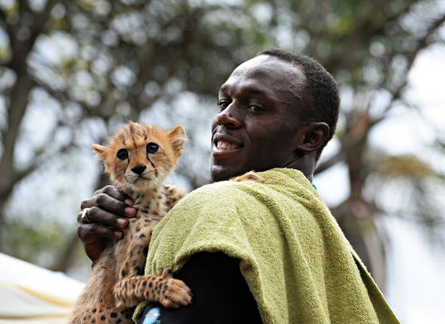 cheetahBolt3