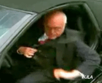 picture-1.gif